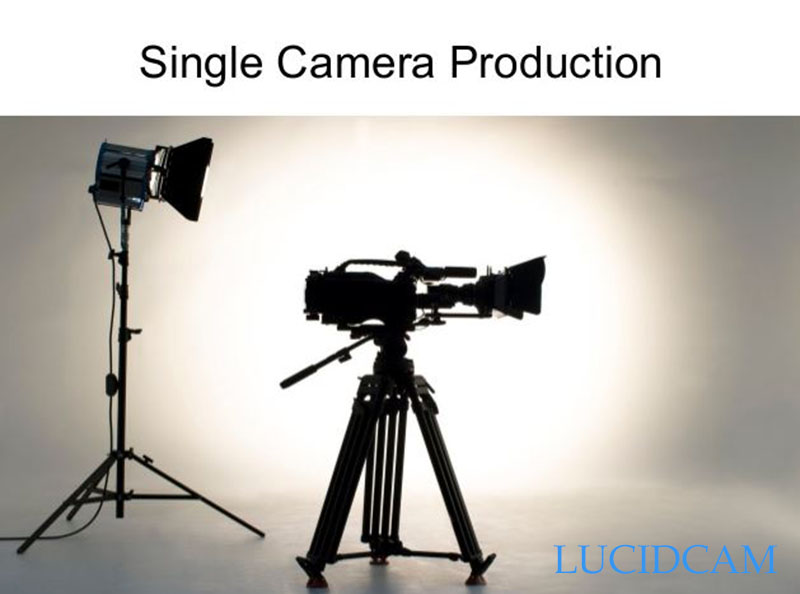 Single-Camera