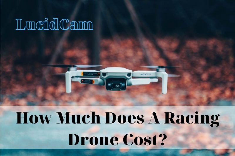 How Much Does A Racing Drone Cost