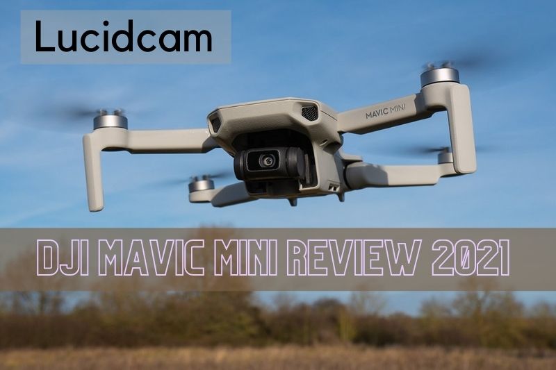DJI Mavic Mini Review 2022: Best Choice For You