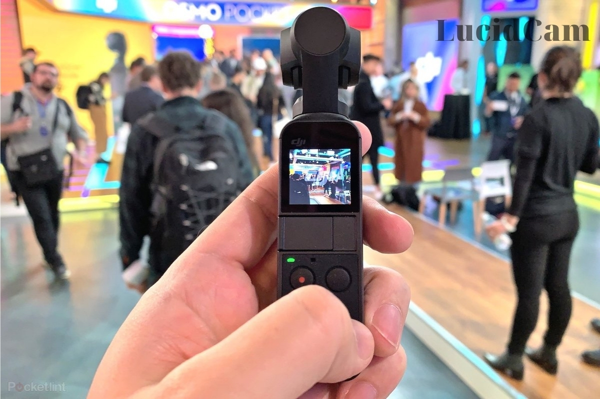Dji osmo pocket review -Still Images
