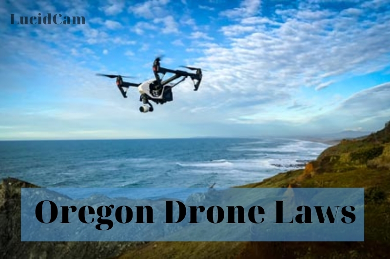 Oregon Drone Laws 2022: Top Full Guide For You.