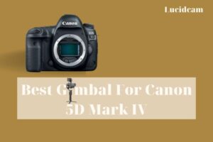 Best Gimbal For Canon 5D Mark IV 2022: Top Brands Review