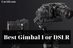 Best Gimbal For DSLR 2022: Top Review For You