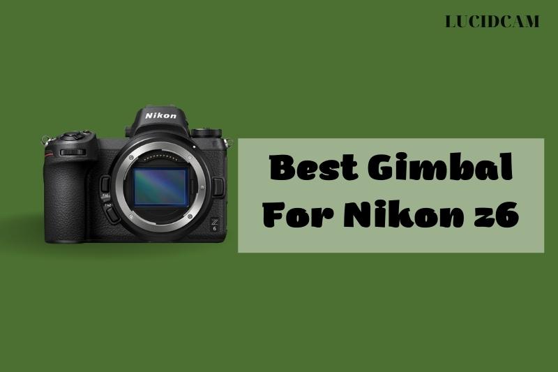 Best Gimbal For Nikon Z6 2023: Top Brands Review - Lucidcam