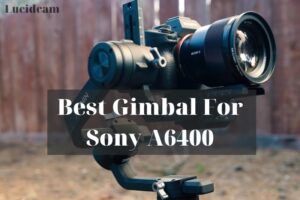 Best Gimbal For Sony A6400 2022: Top Review For You