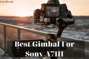 Best Gimbal For Sony A7III : Top Review For You