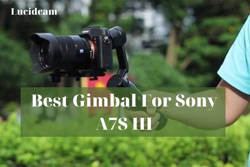 Best Gimbal For Sony A7S III 2022: Top Brands Review