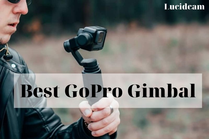Best GoPro Gimbal 2022: Top Review For You