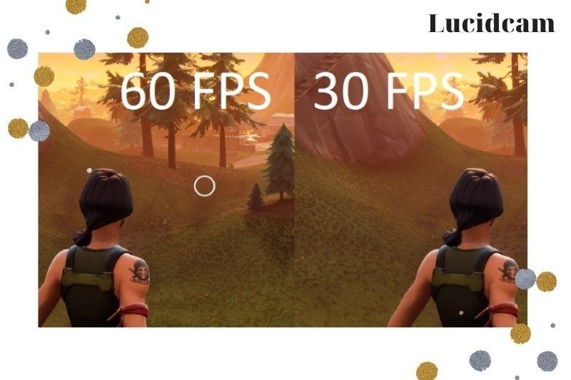 Frames per Second vs. the Refresh Rate