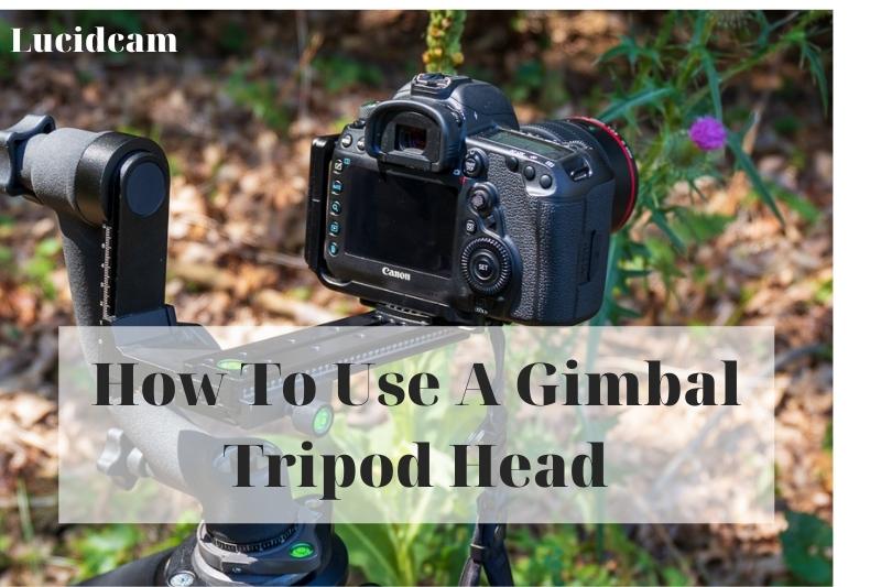 How To Use A Gimbal Tripod Head 2023: Top Full Guide