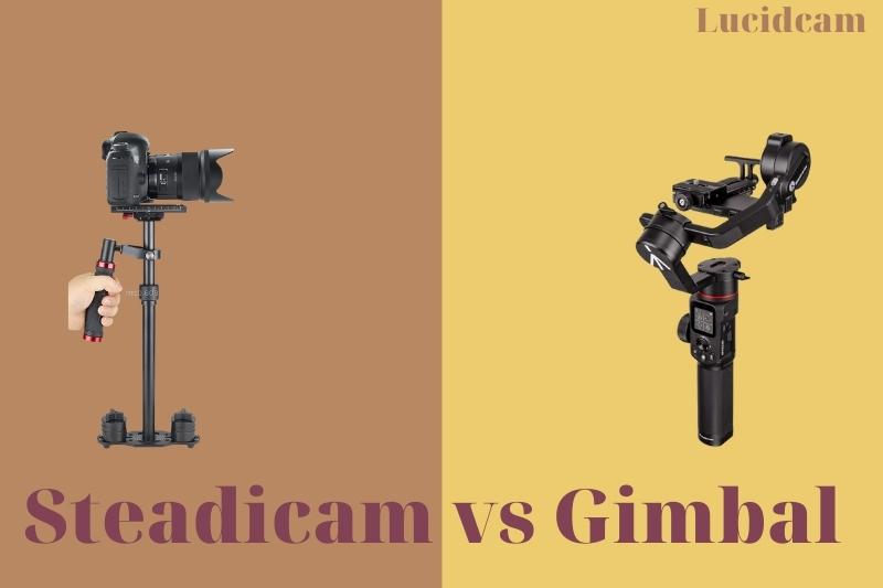 Steadicam vs Gimbal 2022; Which Is Better For You