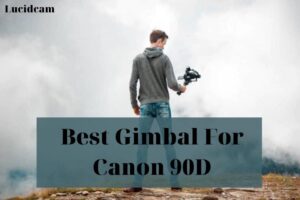 Best Gimbal For Canon 90D 2022: Top Brands Review