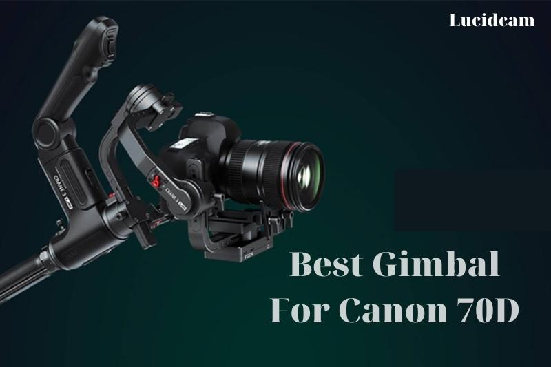 Best Gimbal For Canon 70D 2022: Top Brands Review