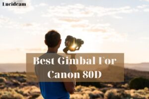 Best Gimbal For Canon 80D 2022: Top Brands Review
