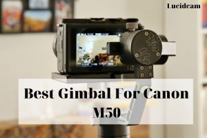 Best Gimbal For Canon M50 2022: Top Brands Review