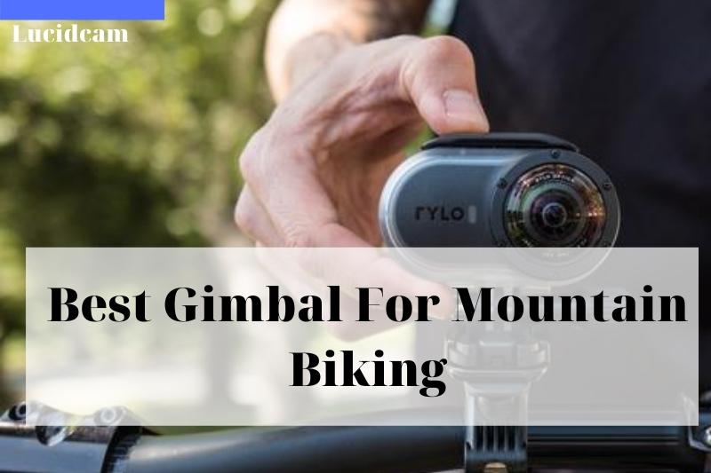 Best Gimbal For Mountain Biking 2022: Top Brands Reivew