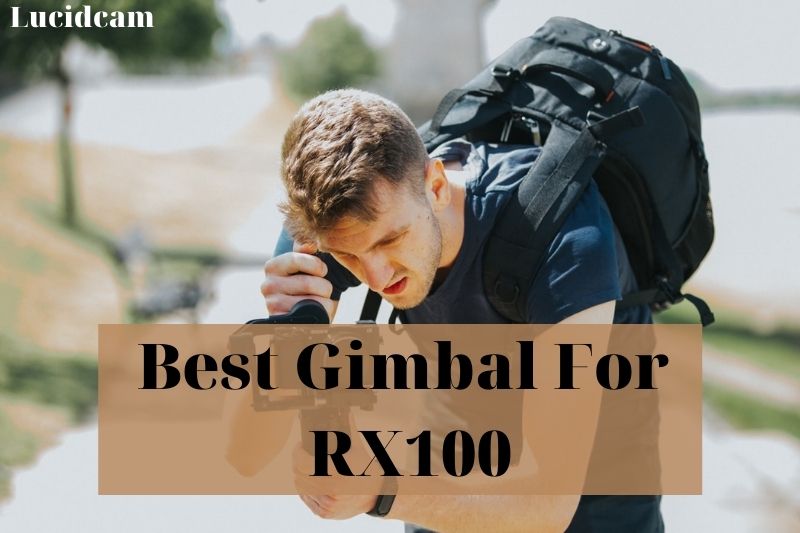 Best Gimbal For RX100 2022: Top Brands Review