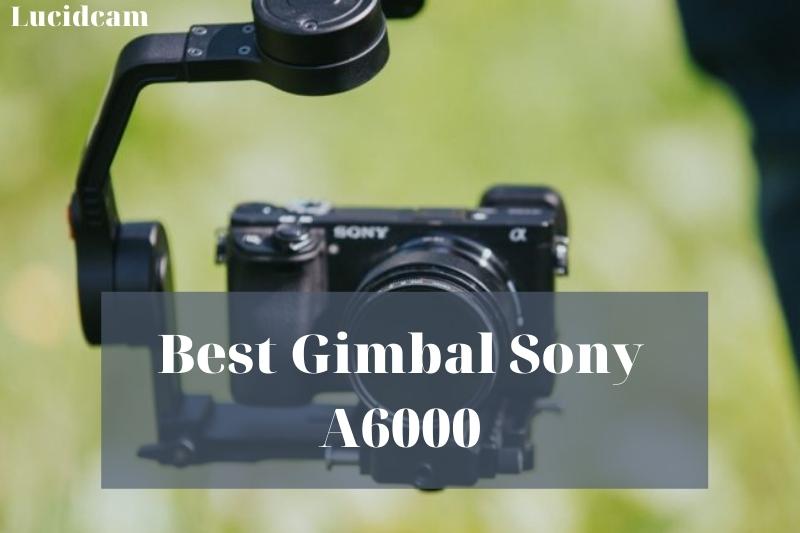Best Gimbal Sony A6000 2022: Top Brands Review
