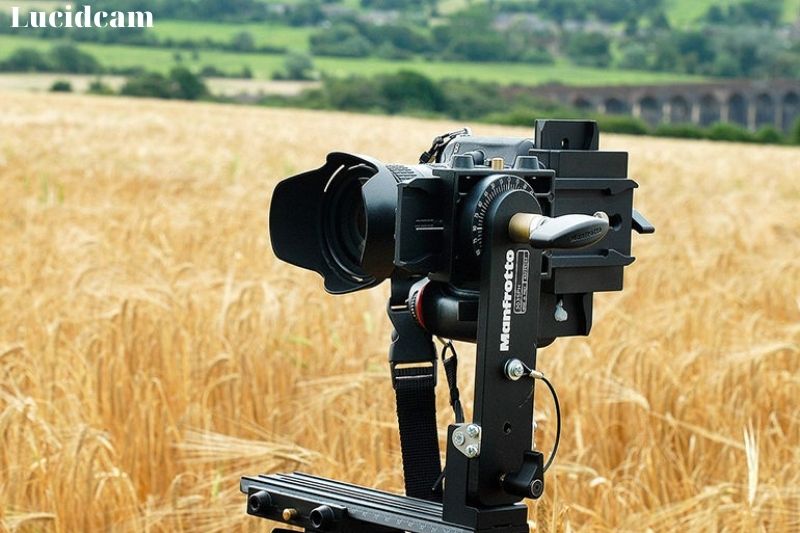 What Is A Tripod Head With A Gimbal?