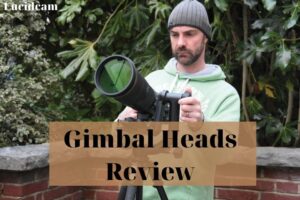 Best Gimbal Heads Review 2022: Benro, Wimberley, Gitzo