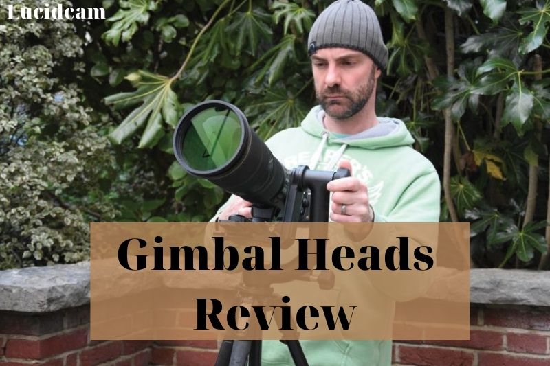 Gimbal Heads Review 2022: Best Chocie For You