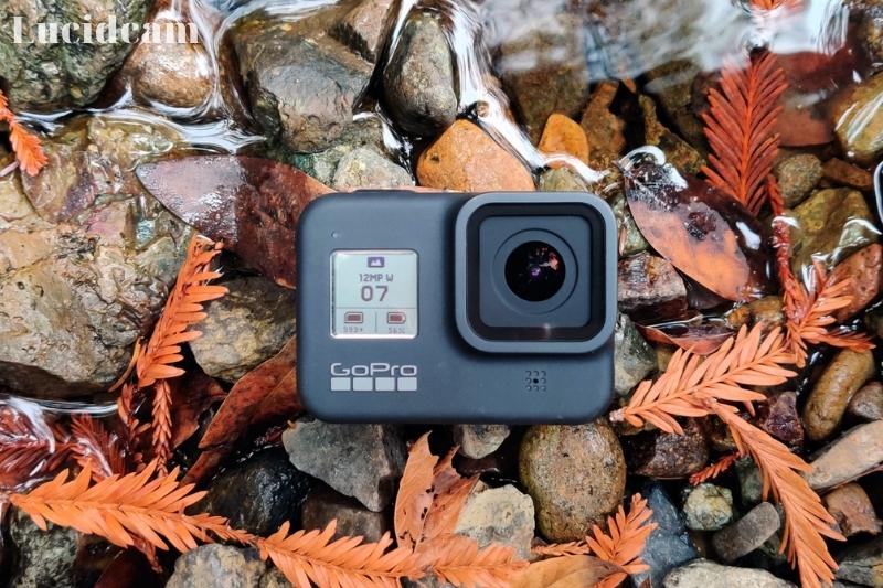 GoPro 8 Review