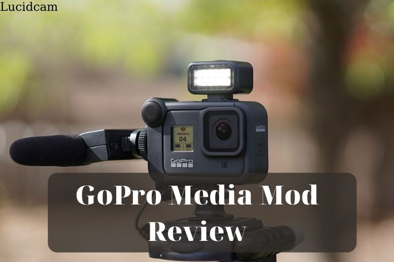 GoPro Media Mod Review 2022;: Best Choice For You
