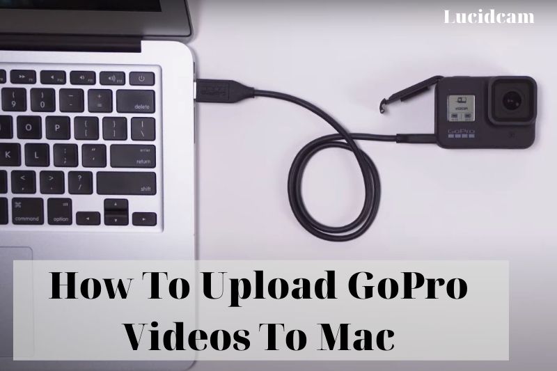 How To Upload GoPro Videos To Mac 2023: Top Full Guide