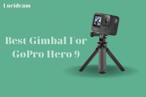 Best Gimbal For GoPro Hero 9 2022: Top Brands Review