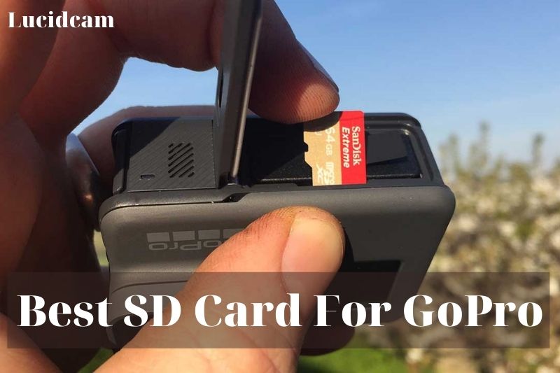 Best SD Card For GoPro 2022: Top Brands Review