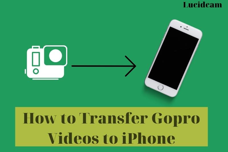 How to Transfer Gopro Videos to iPhone 2022: Top Full Guide