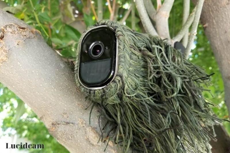 Hide Your Camera On A Branch Of A Tree Or In A Brush