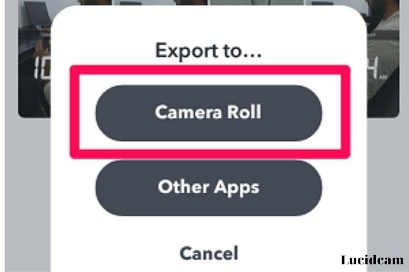 Multiple Snaps to Camera Roll At Once