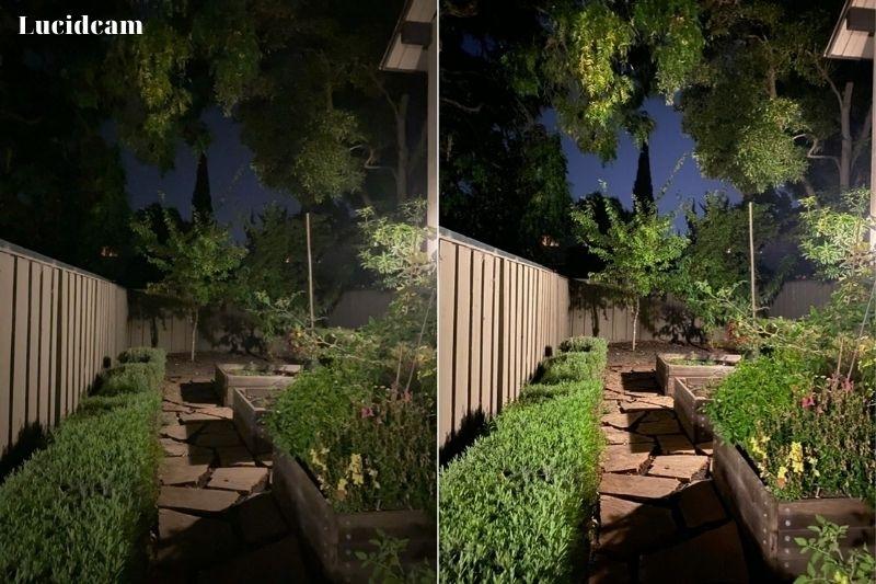 Reduce Blur In Night Mode Photos