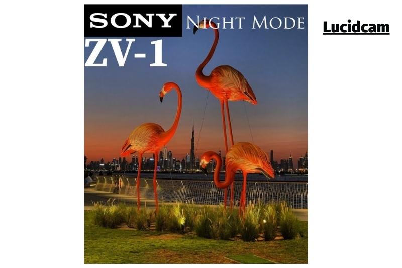 Sony ZV-1- Image and video