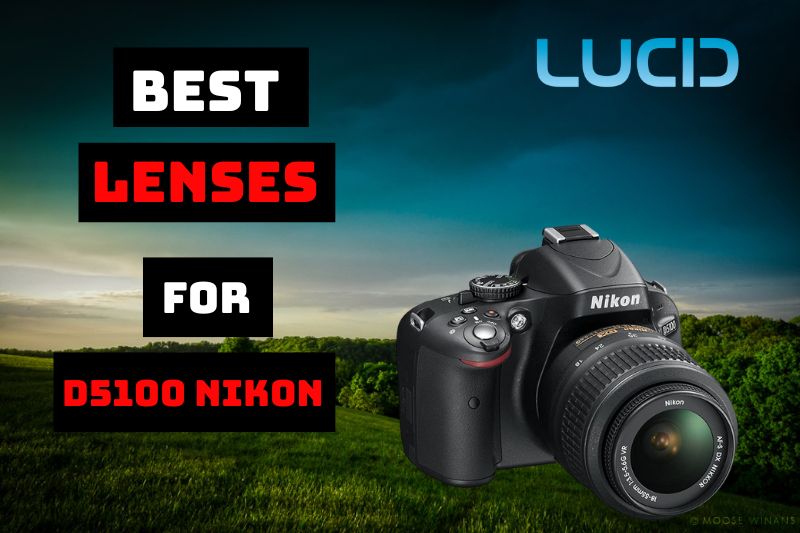 Best Lenses For D5100 Nikon Beginner, Sport, Wildlife Photography 2023