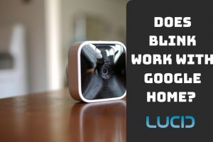 Does Blink Work With Google Home How to Connect It to Google Home Top Full Guide 2023