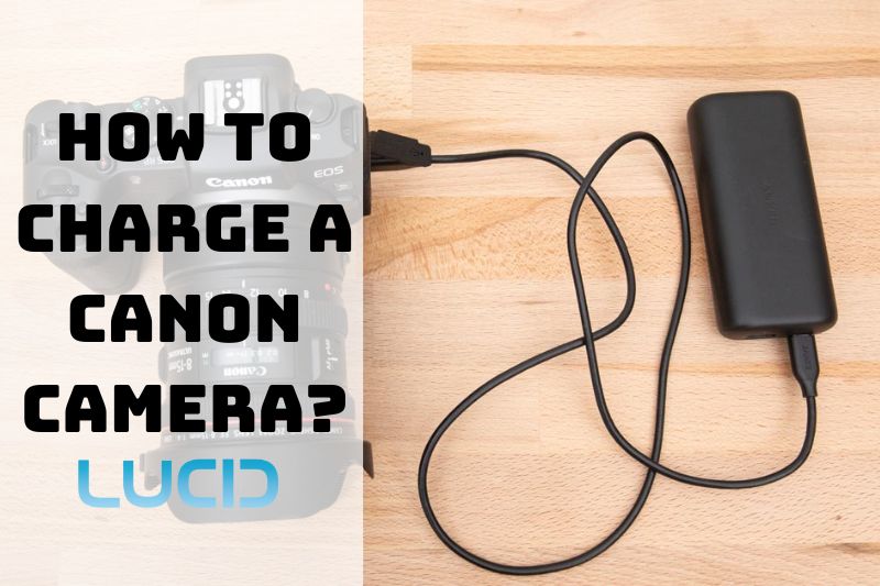 How To Charge A Canon Camera Tips For Maintaining the Batteries Health