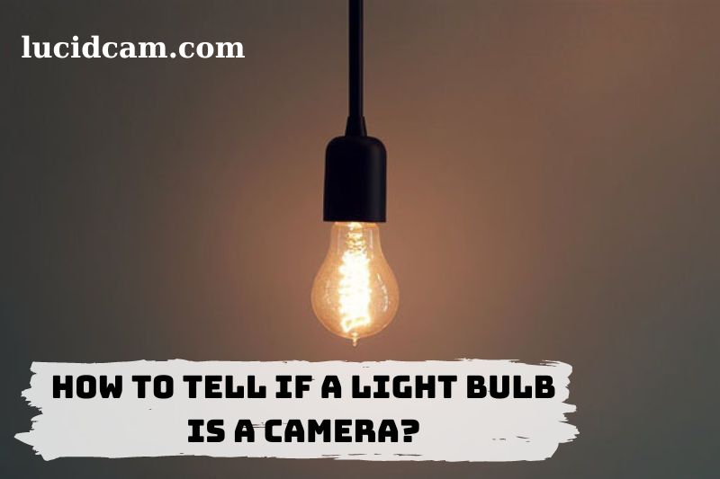 How To Tell If A Light Bulb Is A Camera Full Tips For You 2023