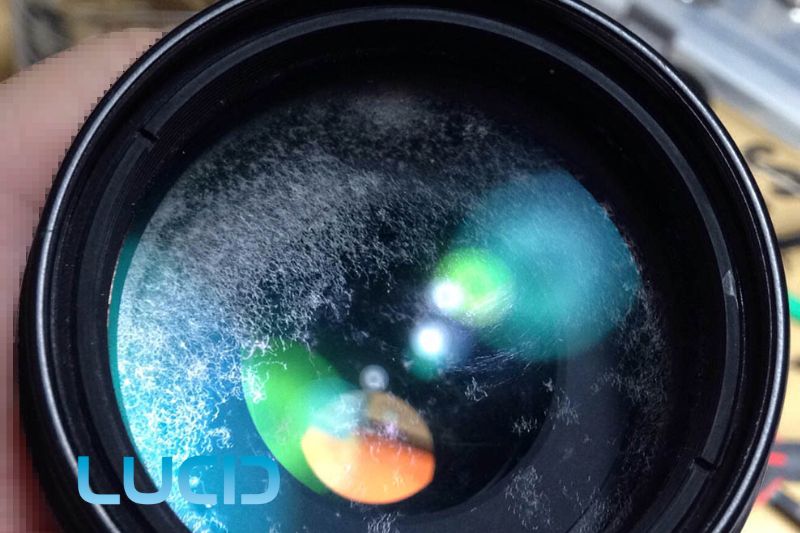 How to Clean Camera Lens Fungus